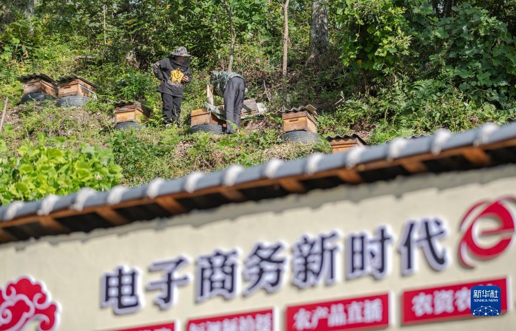 欧赔合理区间表